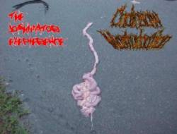 Chainsaw Masturbation : Green Eggs And Ham